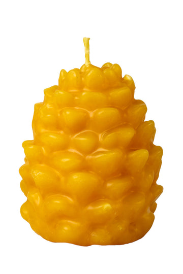 Bičių vaško kankorėžis